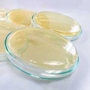 محیط کشت پوتیتو دکستروز آگار(PDA) Potato Dextrose Agar