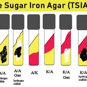 محیط کشت (Triple Sugar Iron Agar)